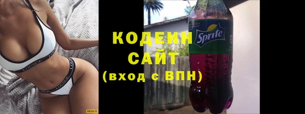 молекула духа Вяземский